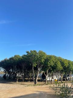 Camping Nature & Mer Tahadart - Tentes & Caravans - Briyech - 2