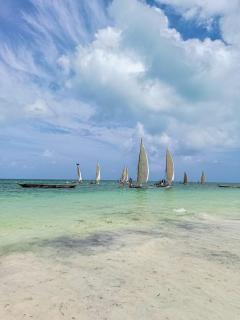 Tropical Beach Studios - Jambiani - 0