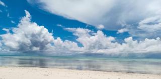 Tropical Beach Studios - Jambiani - 9