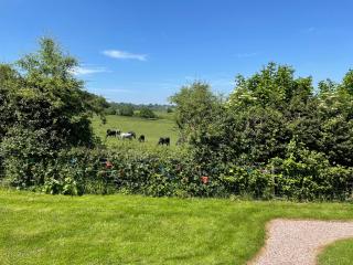 Hoarthorns Hideaway Forest of Dean - Coleford - 4