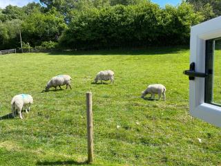 Hoarthorns Hideaway Forest of Dean - Coleford - 3