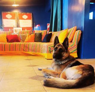 Hotel Windsor Mendoza - 2