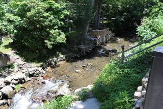 Creekside Glamping Resort- Pool, Fishing Pond, Mini Golf, Game Room, Pet Friendly - 9