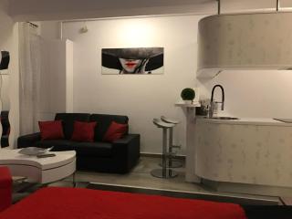 Elegant Luxury Studio M6 Bucharest - Dudu - 6