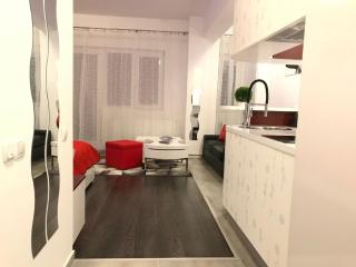Elegant Luxury Studio M6 Bucharest - Dudu - 3