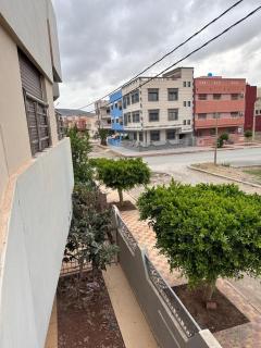 Palmboom Saidia - Saïdia - 9