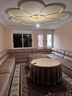 Palmboom Saidia - Saïdia - 6