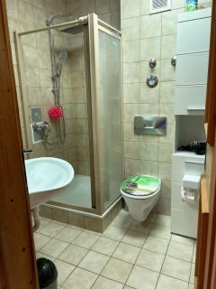 Ferienwohnung Magnolia in Garmisch-Partenkirchen - Garmisch-Partenkirchen - 6