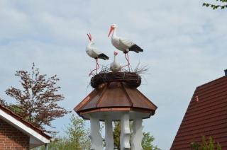 Komfortables Ferienhaus in Conneforde mit Sonniger Terrasse - Wiefelstede - 7