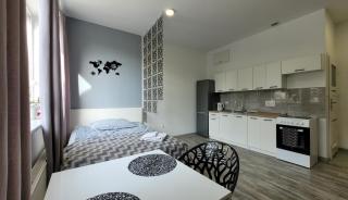 Apartament Centrum w Parku przy Katedrze nr 2 - Kwidzyn - 6