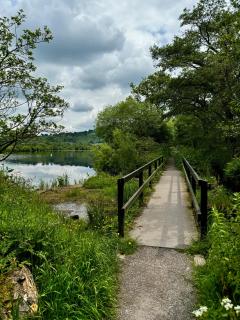 Lyndale - Taxal - 5