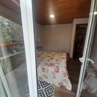 Araucaria - Villa Pehuenia - 7