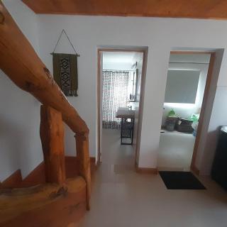 Araucaria - Villa Pehuenia - 4
