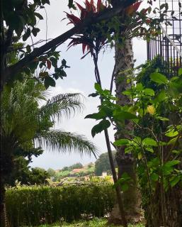 Villa Wisteria - Funchal - 1