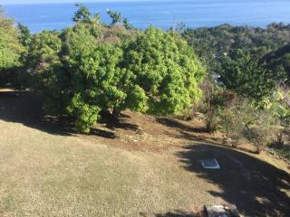 HiatusMobay - Montego Bay - 4