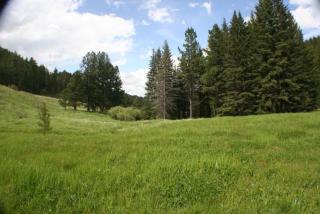 Tenderfoot Creek Cabin - Custer - 7
