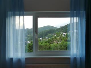 Apartments in Biedenkopf - Biedenkopf - 5