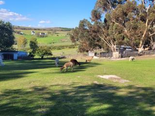 Kleinwatervalplaas Farm Stay Accomodation - 1