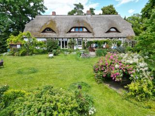 Pfarrhaus Tollensesee - Penzlin - 2