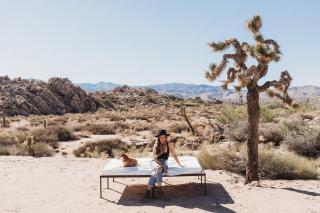 Mulberry & Pine By The Cohost Company - 1