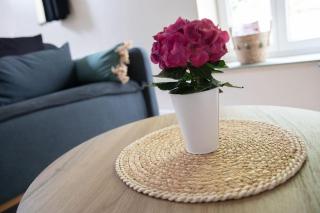 Studio en vieille ville avec chambre en mezzanine - Boulogne-sur-Mer - 2