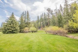 Tenderfoot Creek Cabin - Custer - 4