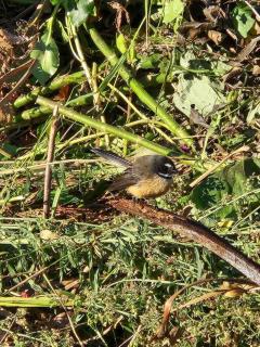 Wow! 180 degree views - 9