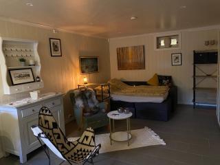 Studioleilighet sentralt på Kjerringøy - 9