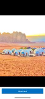 Mohand Zwd camp - Wadi Rum - 5