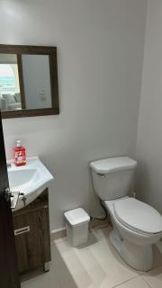 Mariposa Reina A - 3