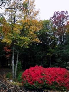 BlossomGlow Residence - Harwinton - 6
