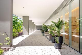 Concepción Live - 3