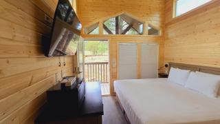 Cozy Cabins By Forest View 3B - Williams - 3