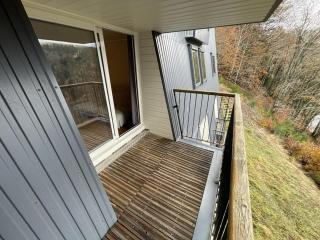 Appartement 2 Chambres à 1500m d'Altitude, Proche des Pistes avec Balcon et Parking - FR-1-787-14 - Saint-Jacques-des-Blats - 1