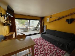 Studio charmant avec balcon, au pied des pistes, tout équipé, 1er étage, parking, casier à skis - FR-1-787-19 - Laveissière - 0