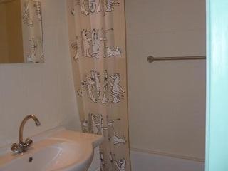 Studio cosy à Laveissière près des pistes, 2 lits superposés et lit rabattable, parfait pour l'hiver - FR-1-787-8 - 4