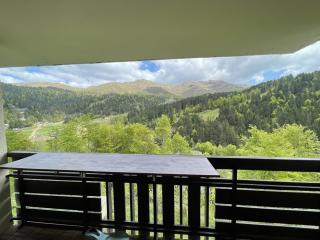 Studio cabine cosy au pied des pistes, animaux acceptés - FR-1-787-9 - 7