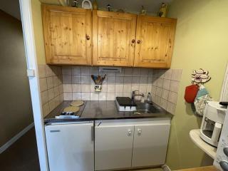 T2 cosy au cœur de Laveissière - Près des pistes, commerces et patinoire - FR-1-787-37 - 7