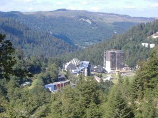 Charmant studio avec balcon, au pied des pistes et commerces - FR-1-787-24 - Laveissière - 1