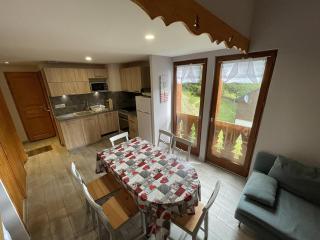Chalet cosy 50m² avec WiFi à 300m des pistes, 2 chambres, casier à skis, proche gare et navette - FR-1-787-12 - Laveissière - 4