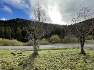 Studio cosy, balcon, parking, animaux OK, proche pistes - FR-1-787-17 - Laveissière - 6