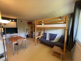 Appartement cosy avec balcon, accès direct piste et parking privatif - FR-1-787-20 - Laveissière - 9