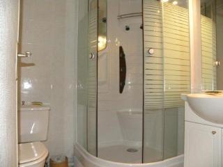 Appartement cosy avec balcon, accès direct piste et parking privatif - FR-1-787-20 - Laveissière - 6