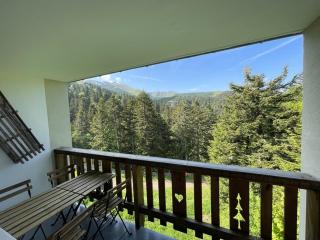 Appartement cosy avec balcon, accès direct piste et parking privatif - FR-1-787-20 - Laveissière - 7