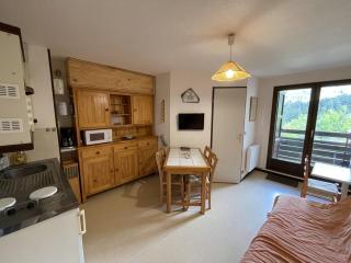 T2 cabine avec balcon, près des pistes - FR-1-787-21 - Laveissière - 0