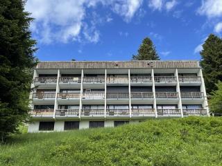 Appartement cosy avec balcon, accès direct piste et parking privatif - FR-1-787-20 - Laveissière - 1