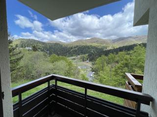 T2 cabine avec balcon, près des pistes - FR-1-787-21 - Laveissière - 6
