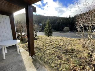 Studio rénové, calme, balcon sud, jardinet, proche pistes et commerces - FR-1-787-22 - Laveissière - 6