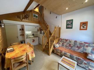Studio-cabine-mezzanine exposé sud avec navette gratuite, casier à skis et tout confort - FR-1-787-28 - Laveissière - 0