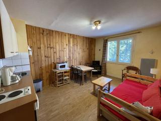 Agréable T2 au pied des pistes avec piscine estivale, parking, et animaux bienvenus - FR-1-787-31 - Laveissière - 0